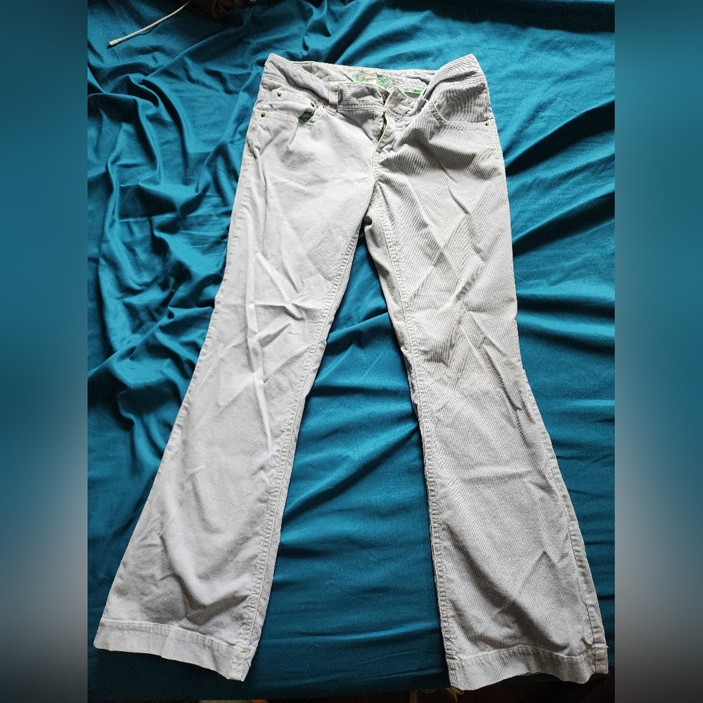 American Eagle Outfitters Grayish Blue (Ice Blue) Corduroy Pants
